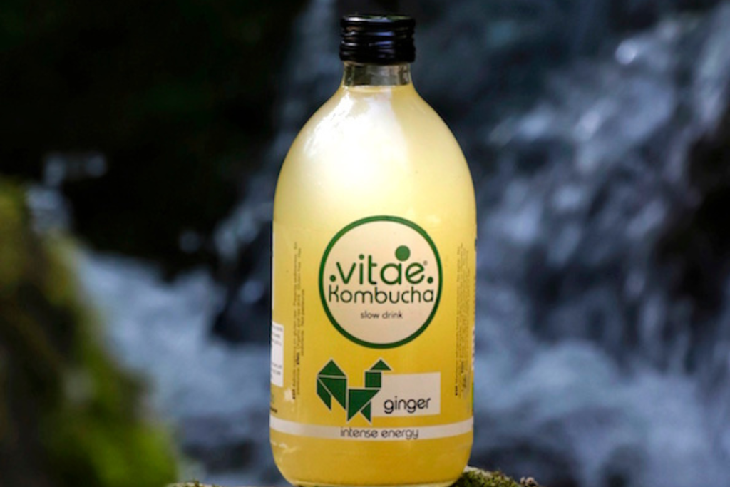 ¿Qué es la kombucha?