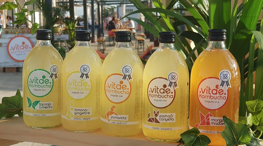 elaboración artesanal de la kombucha