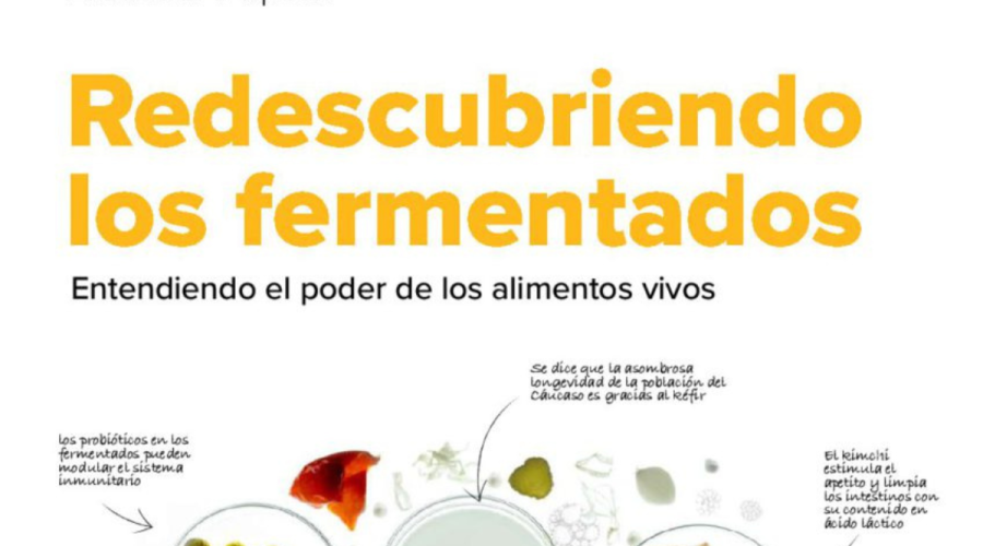 VITAE KOMBUCHA